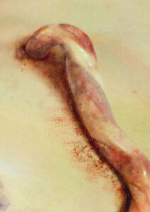 A Paraphrase of Courbet’s with an umbilical cord