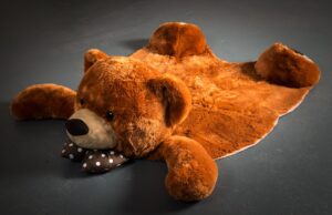 Killing The Teddybear