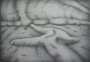 Ruminative Landscapes